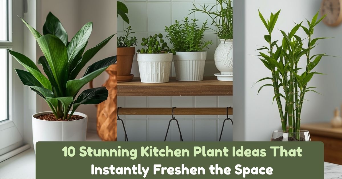 10 Stunning Kitchen Plant Ideas That Instantly Freshen the Space